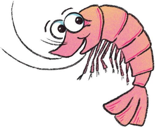 A bouncing prawn illustration on a plain background