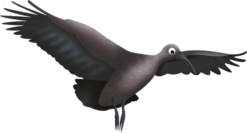 A brown hadedah spreading its wings against a white background.