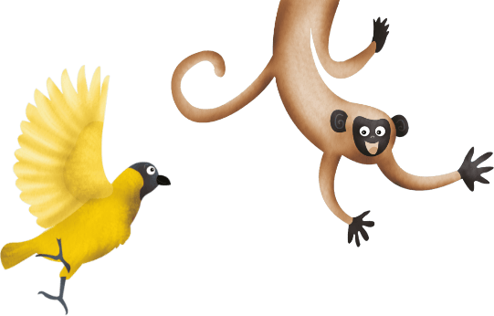 A yellow bird flying towards a brown baboon against a white background.