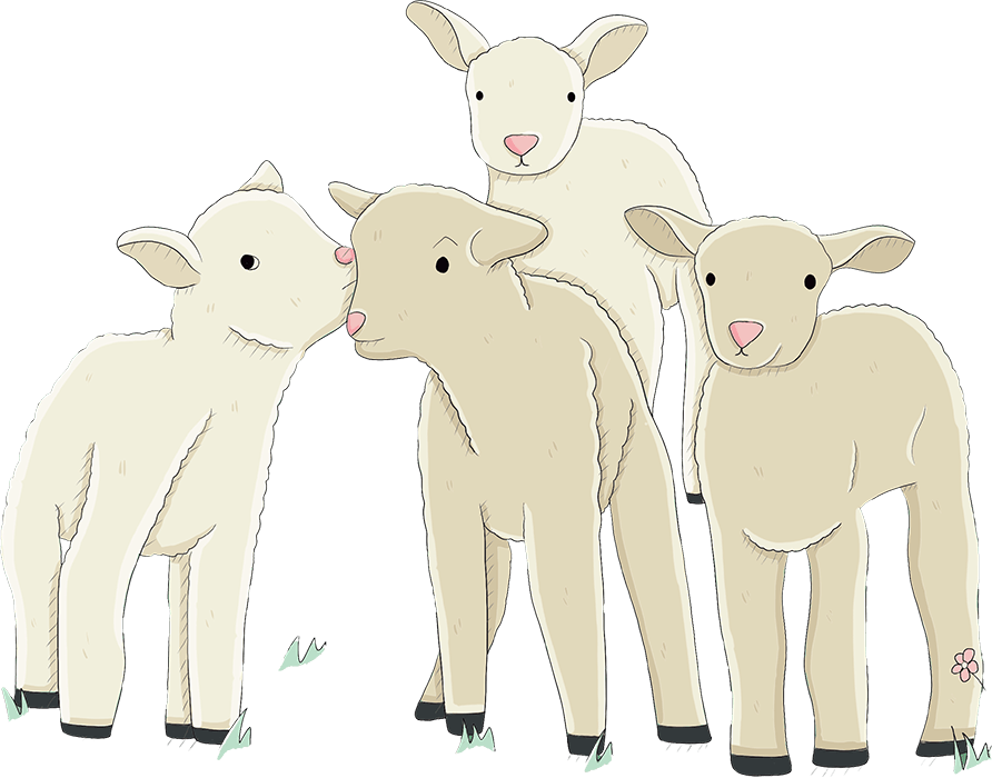 4 Lamb depicted on a white background
